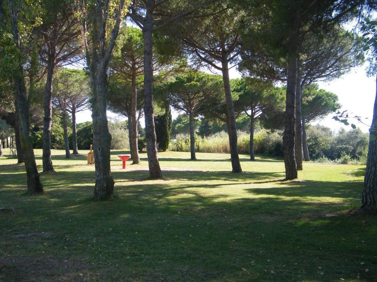 Studio Sur Le Port, Climatisation, Wifi, Piscine, Lave-Linge Gruissan Luaran gambar